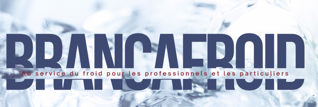 Branca froid froid commercial & industriel